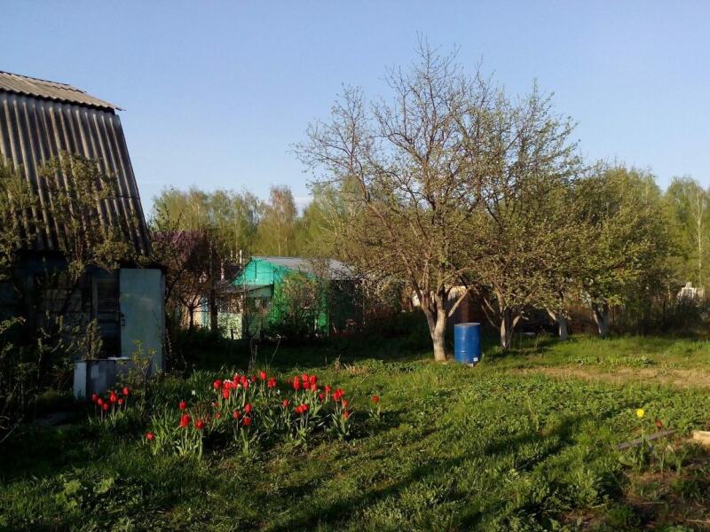 Дачный 30 Купить Квартиру