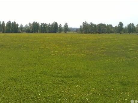 Купить Гектар Под Дачу