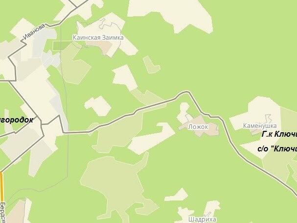 Кадастровая карта каменушка