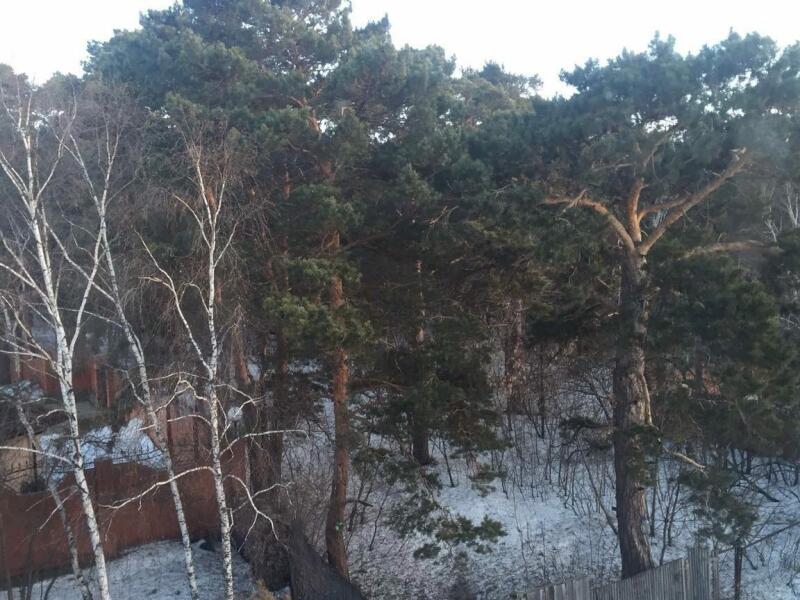 Купить Дом В Чернолучье Омского Района