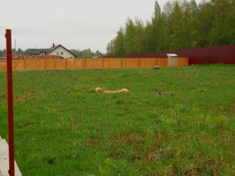 Участок земли огородили. Фото земельного участка без строений. С чем оградить земельный участок. Фото огороженного земельного участка без строений летом
