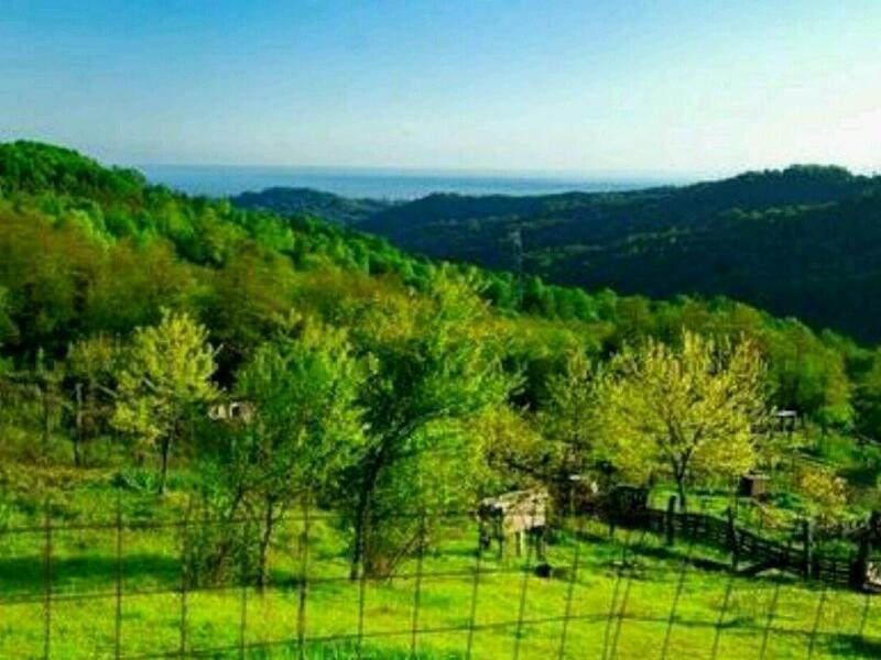 Село Высокое Адлерский Купить Дом