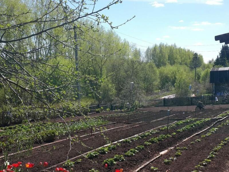 Купить Дачу В Мысу Тюмень