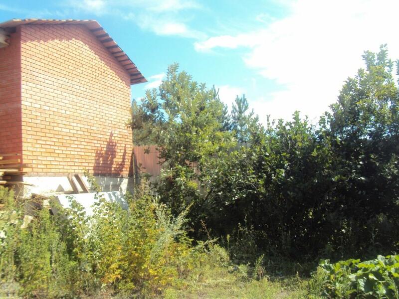 Купить Дачу В Курске Сосновый Бор