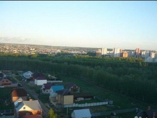 Большие Клыки Казань Купить