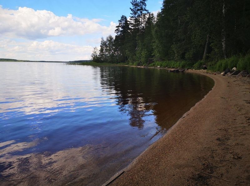 Озеро м 2 0 2. Озеро Падозеро Карелия. Падозеро 28 км. Падозеро Петрозаводск озеро. Озеро верхнее Падозеро Карелия.
